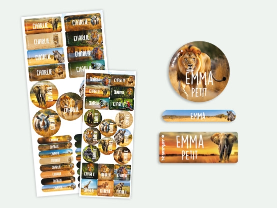 Pack Étiquettes Objets & Vêtements Autocollantes au motif réaliste