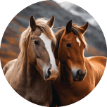 Real Horse 2