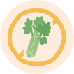 Allergy Celery