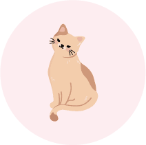 Cat2