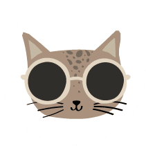 Cool-cat