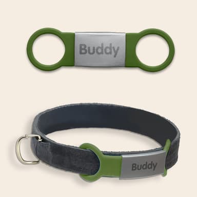 Médaille gravée pour chien et chat