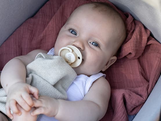Tétine Personnalisée - BIBS de Lux