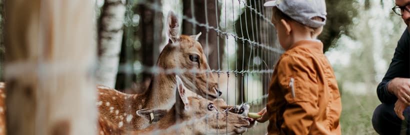 Bracelet SOS enfant : un petit accessoire qui fait une grande différence