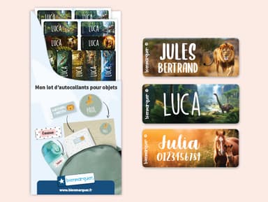 Petites Étiquettes Autocollantes au motif réaliste