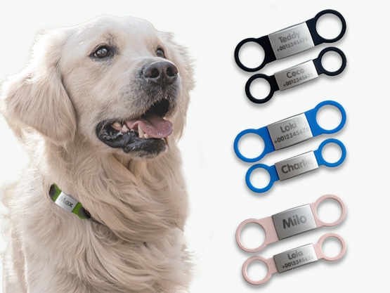 Médaille gravée pour chien et chat