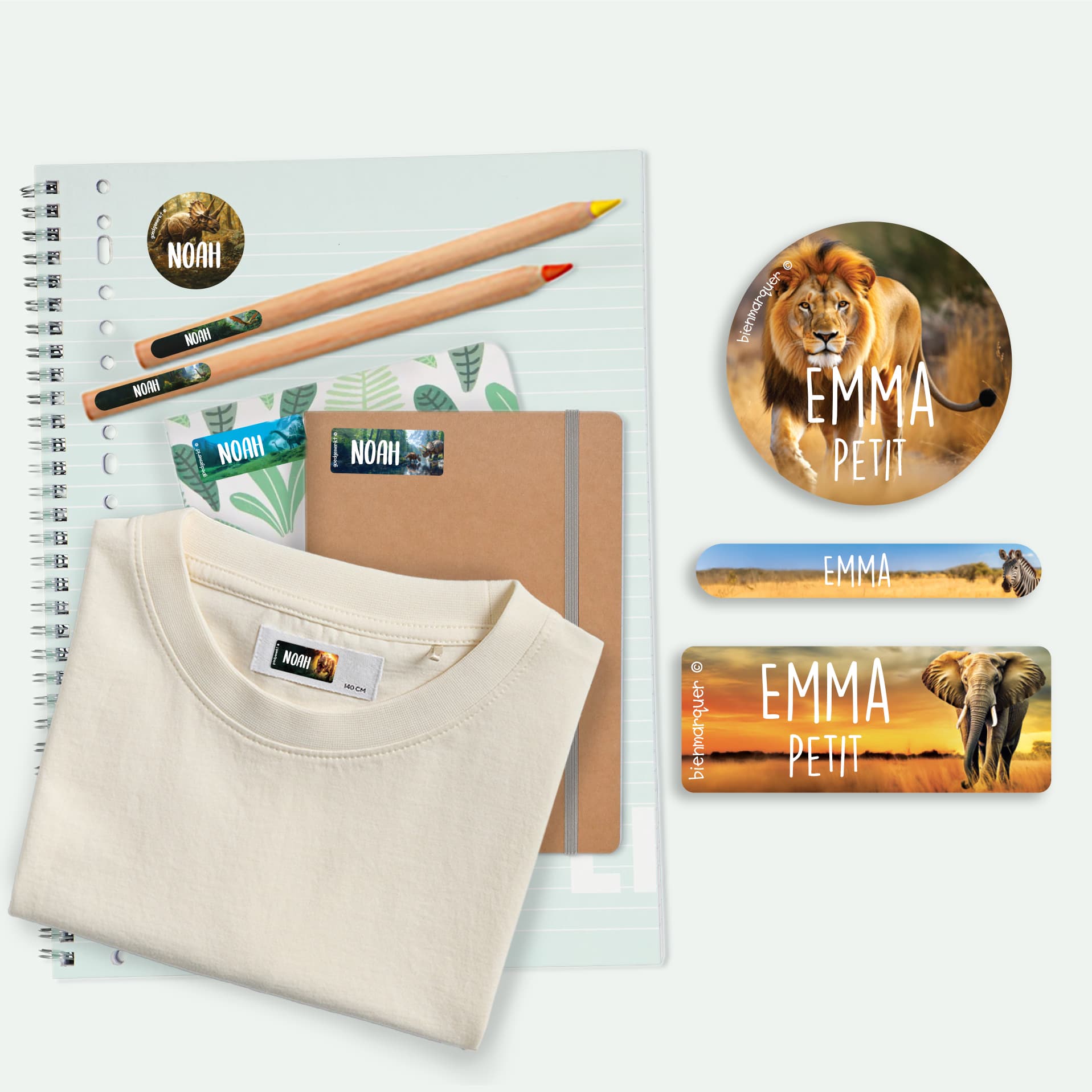 Pack Étiquettes Objets & Vêtements Autocollantes au motif réaliste