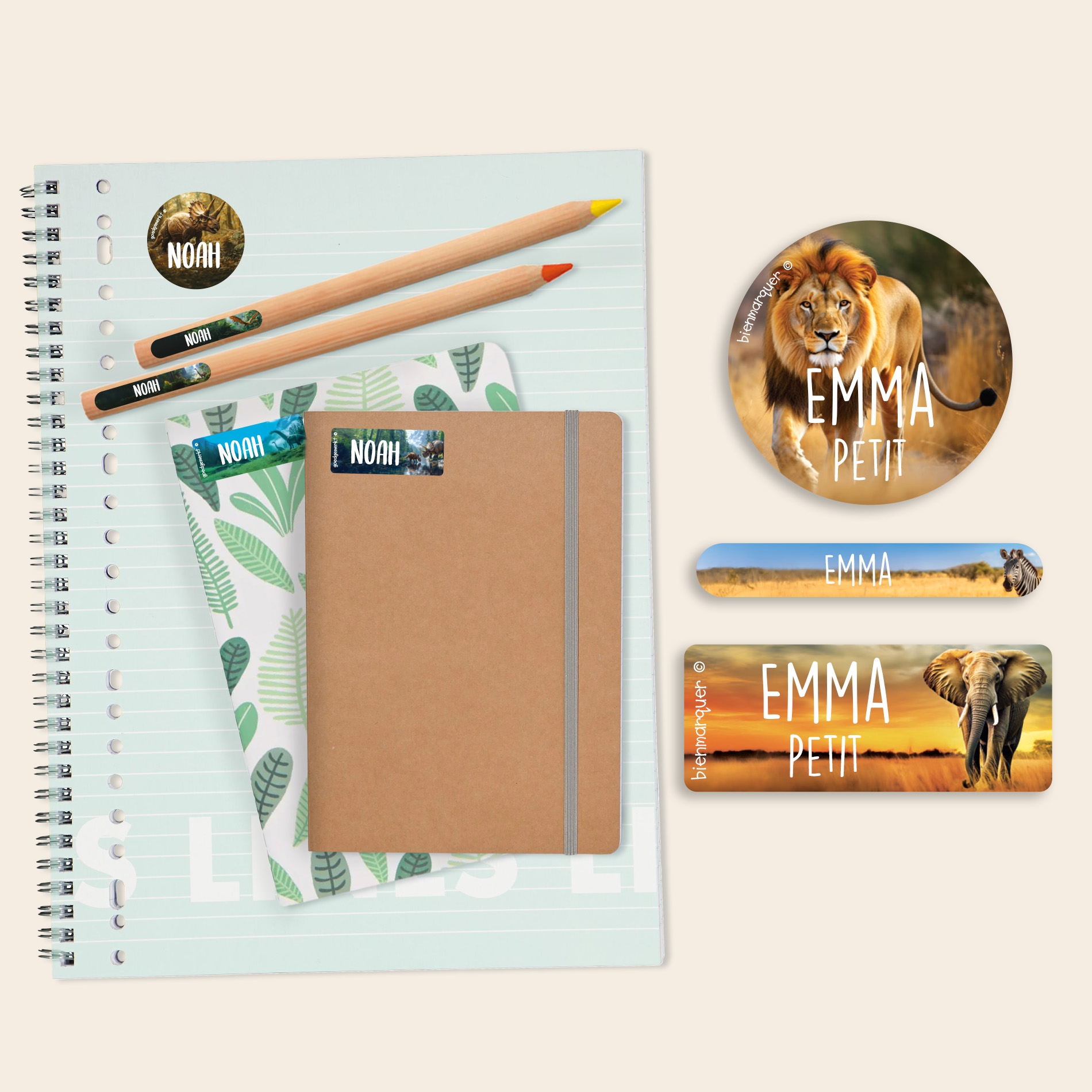 Pack d'Étiquettes Autocollantes pour Objets au motif réaliste