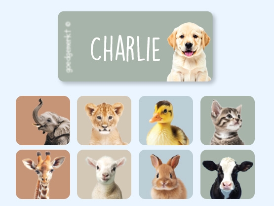 Étiquettes Vêtements Autocollantes au motif réaliste