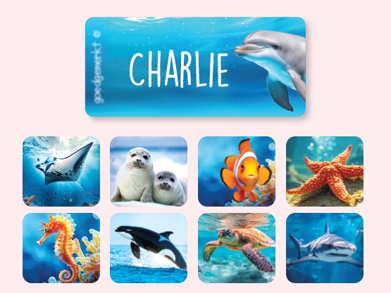 Étiquettes Vêtements Autocollantes au motif réaliste