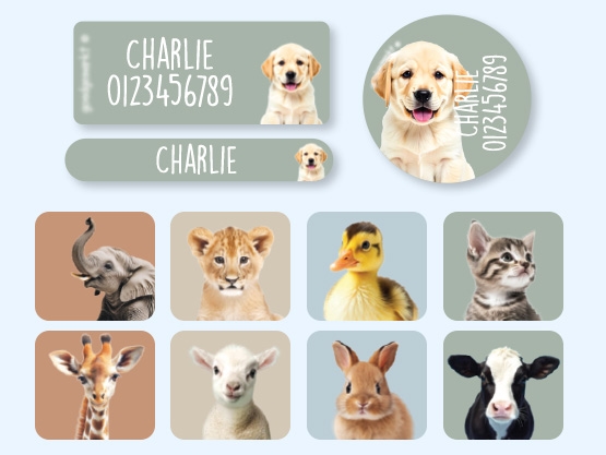 Pack d'Étiquettes Autocollantes pour Objets au motif réaliste