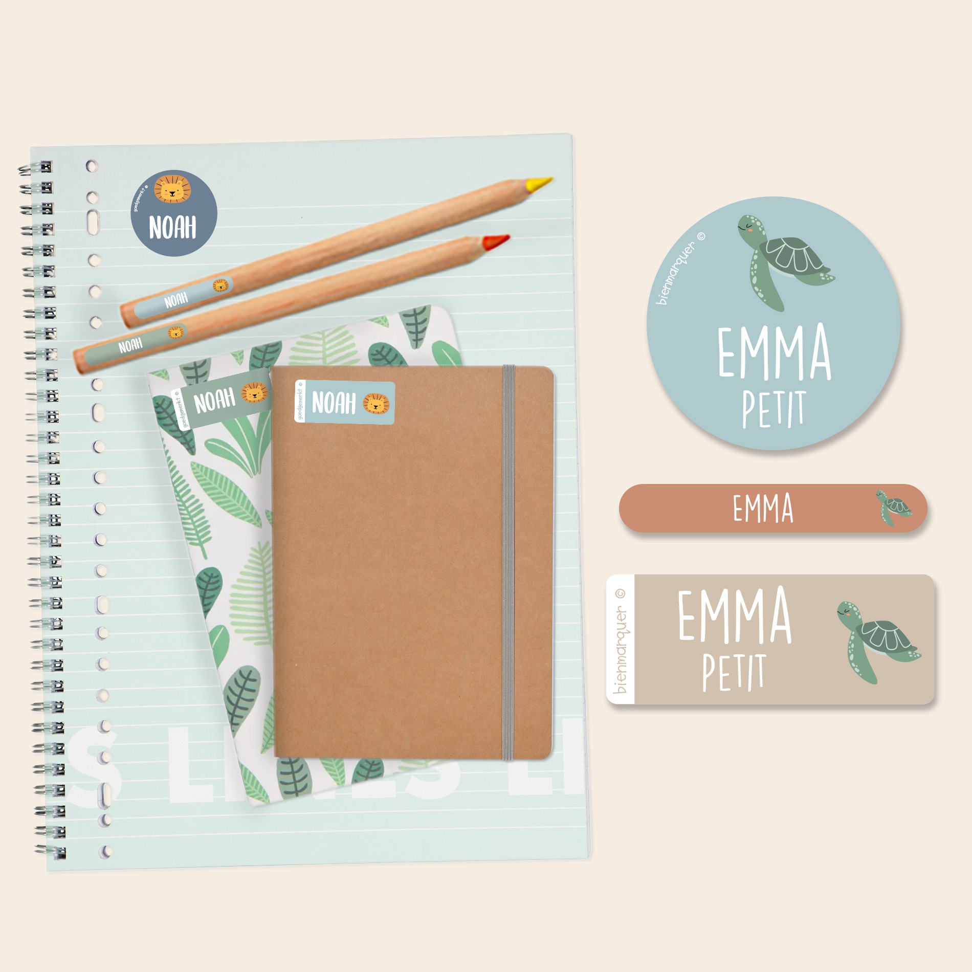 Pack d'Étiquettes Autocollantes pour Objets à Thème