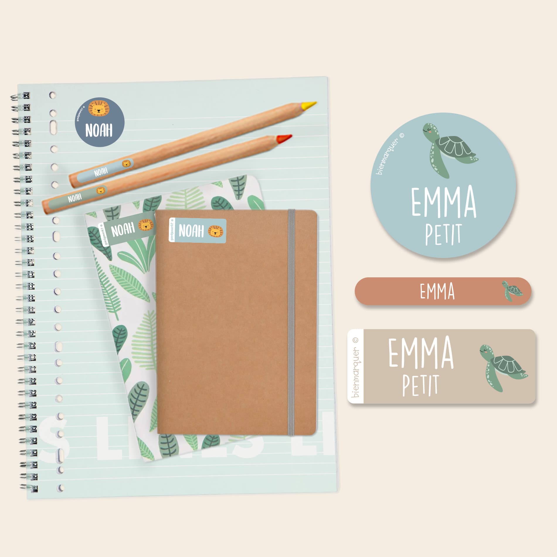 Pack d'Étiquettes Autocollantes pour Objets à Thème