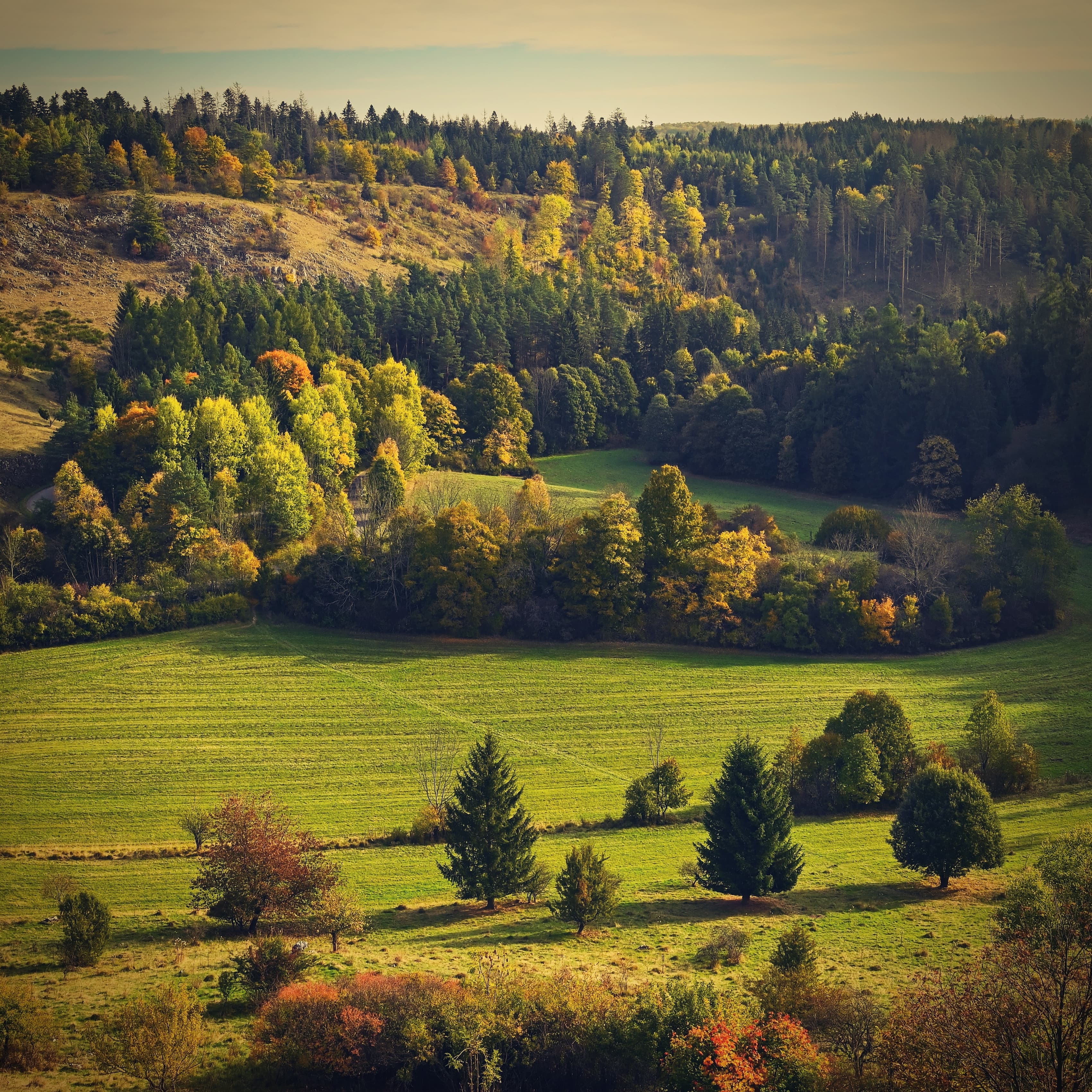 Feuillage d’automne coloré traversé par les rayons du soleil